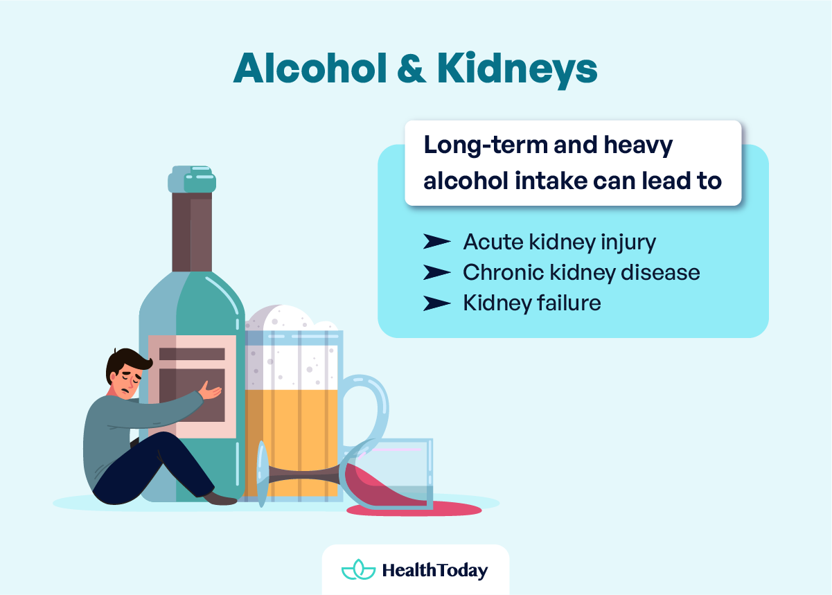 How Does Alcohol Affect Kidneys Drinking and Kidneys Facts 01