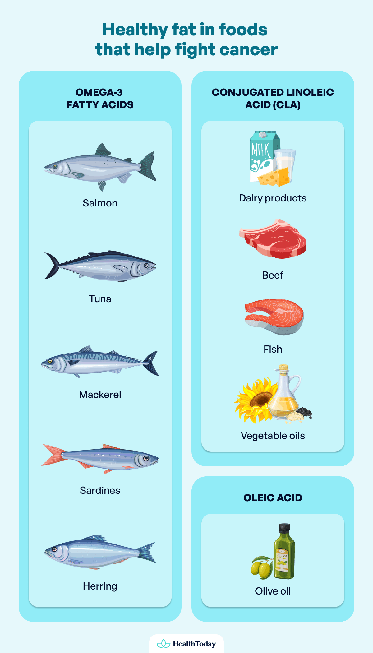 Not All Healthy Fats Are Cancer Killing Foods Explore What Helps and What Doesnt 02