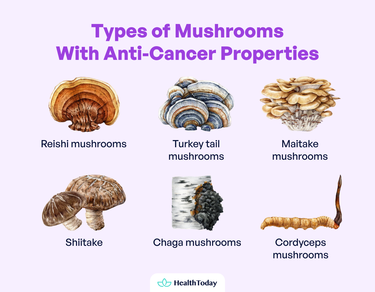 Studies Find Mushrooms Can Reduce Cancer Risks Best Cancer Fighting Foods 01