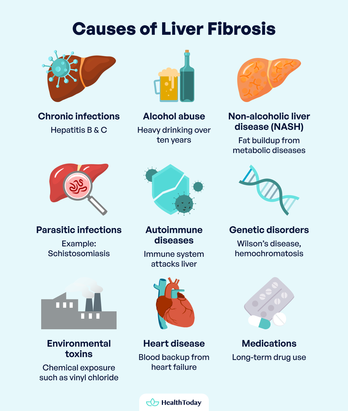 What Is Liver Fibrosis Causes Symptoms Stages and More 01